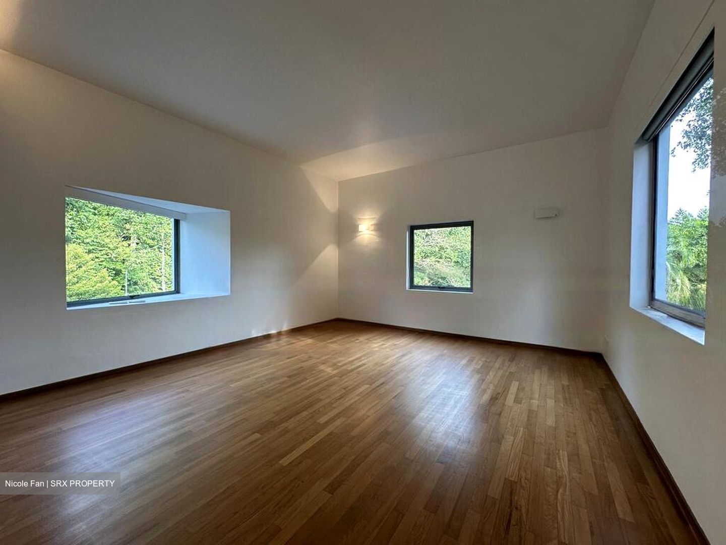 Cluny Park (D10), Detached #480505471